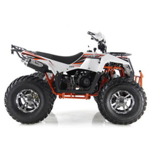 Big boy puma 110cc mini online quad